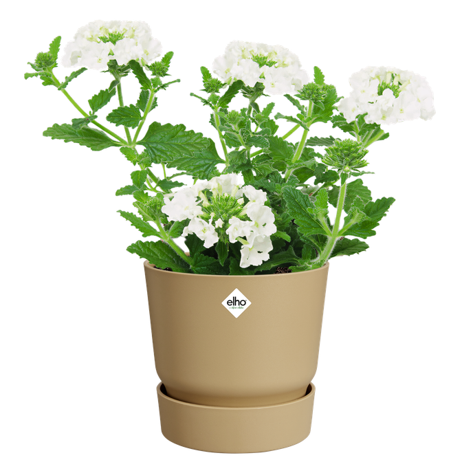 greenville round 18cm goudkleurig zand